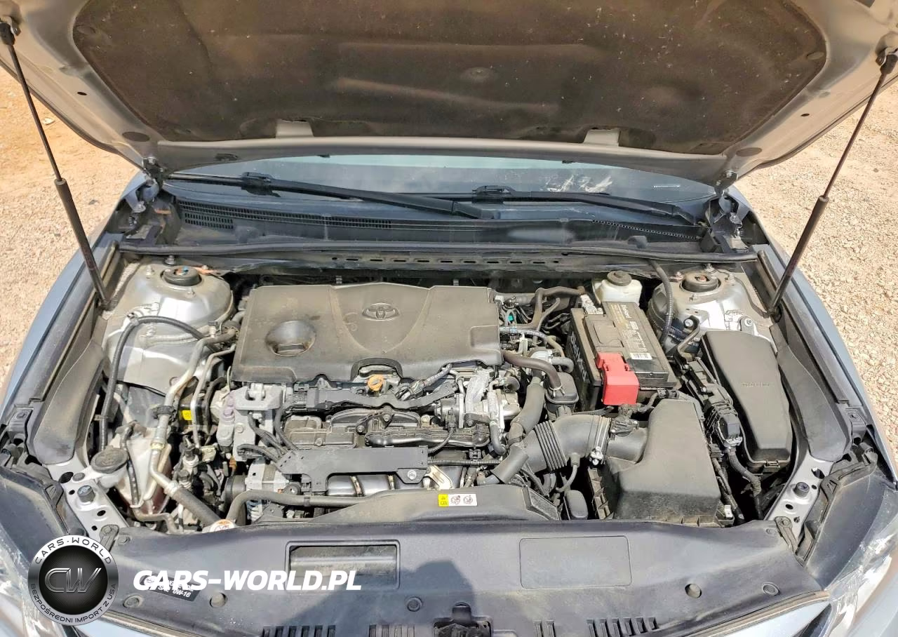 2019 Toyota Camry Le VIN:4T1B11HK6KU175555 - 11