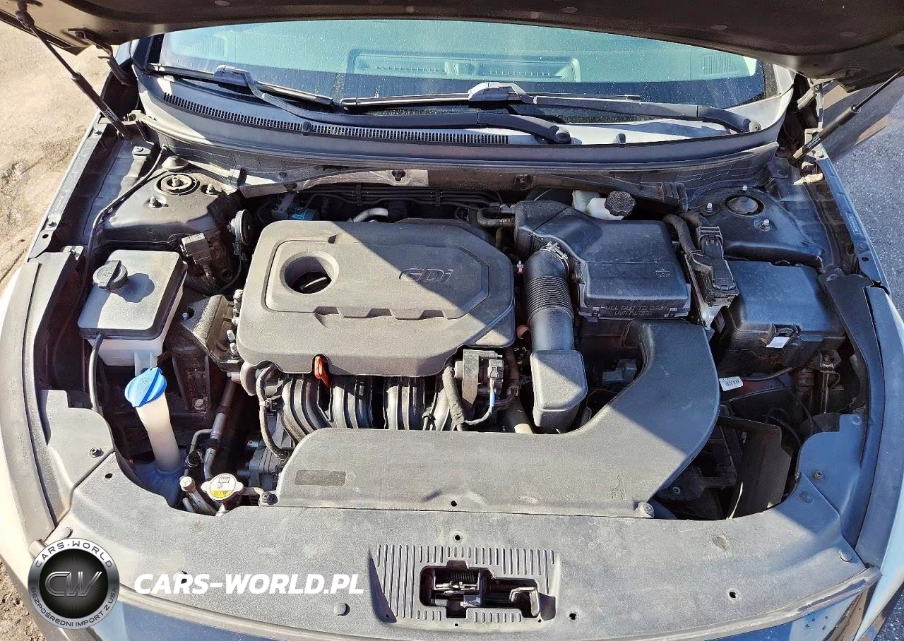 2016 Hyundai Sonata Se VIN:5NPE24AF6GH390562 - 11