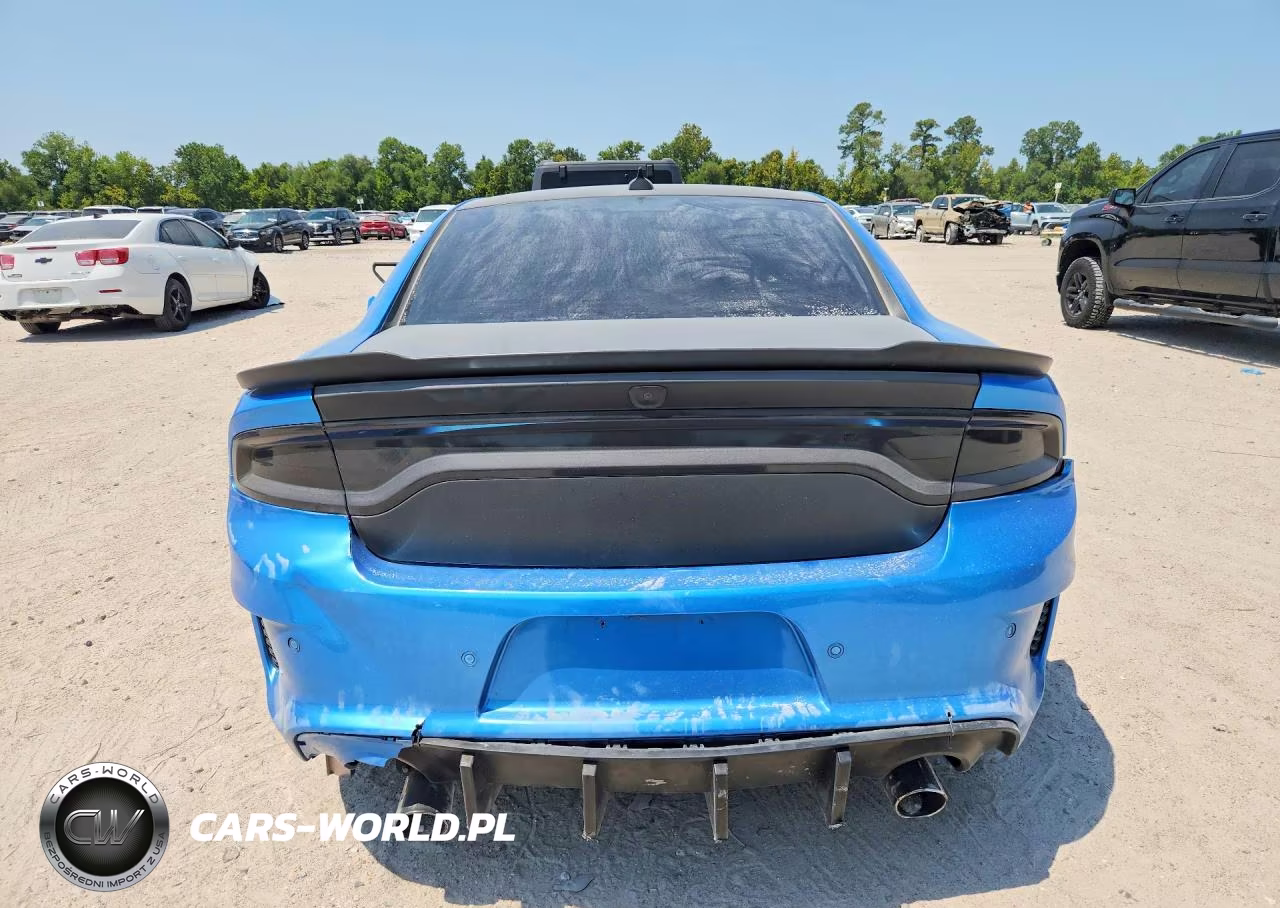 2019 Dodge Charger Srt Hellcat VIN:2C3CDXL91KH518660 - 6