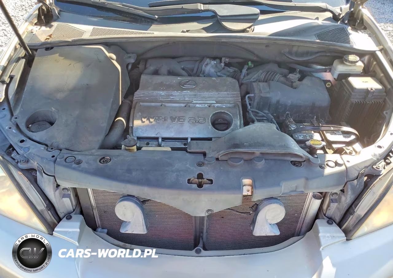 2005 Lexus Rx 330 VIN:2T2GA31U65C041014 - 12