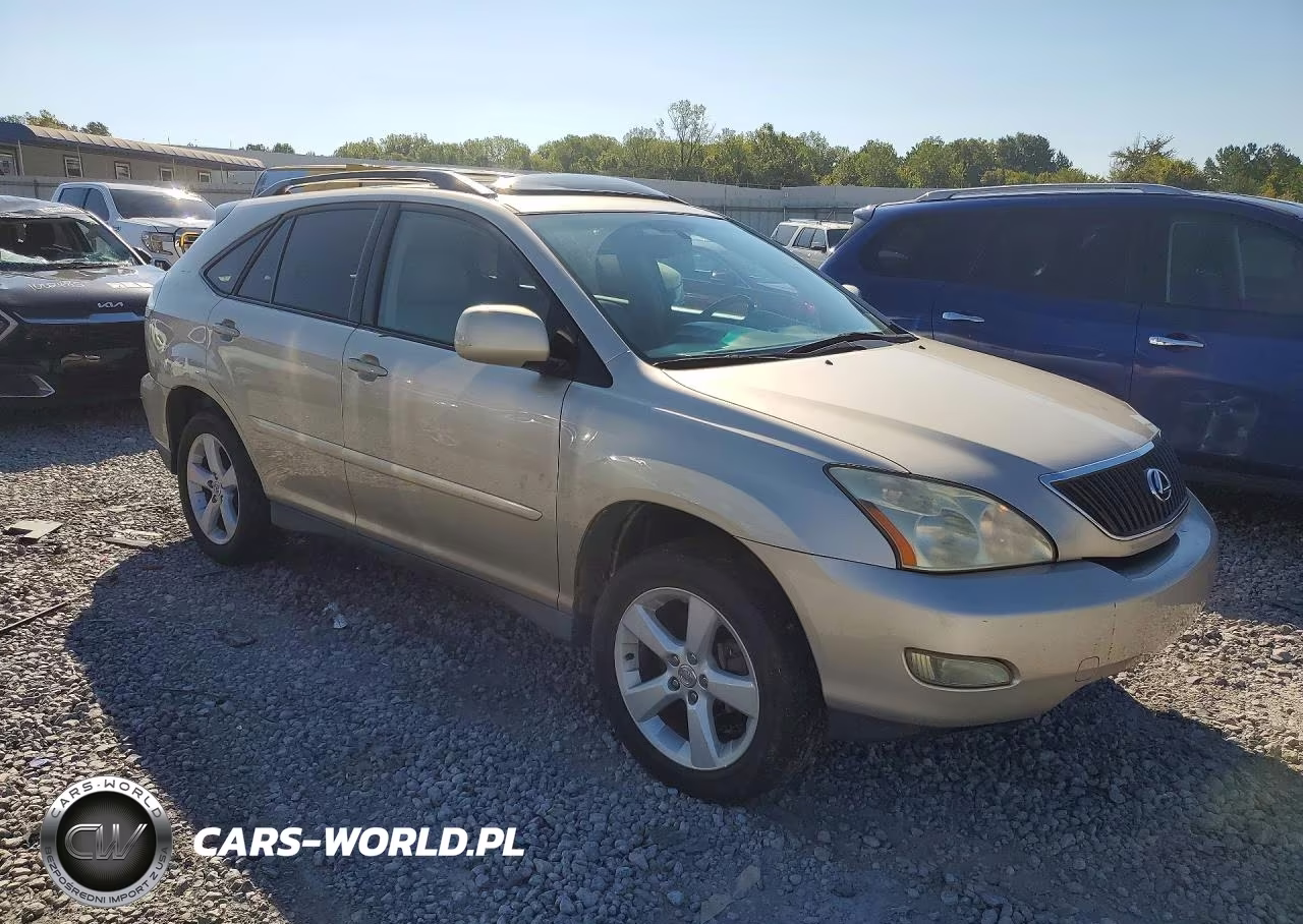 2005 Lexus Rx 330 VIN:2T2GA31U65C041014 - 4