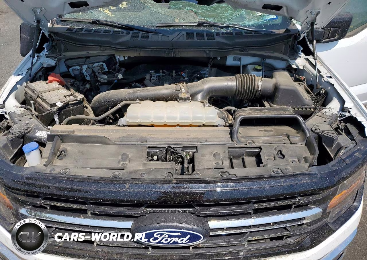 2025 Ford F150 Xlt VIN:1FTEW3K84SKE87025 - 11
