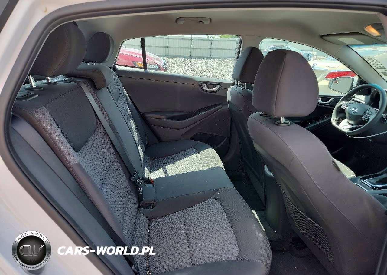 2018 Hyundai Ioniq Blue VIN:KMHC65LC2JU091373 - 10