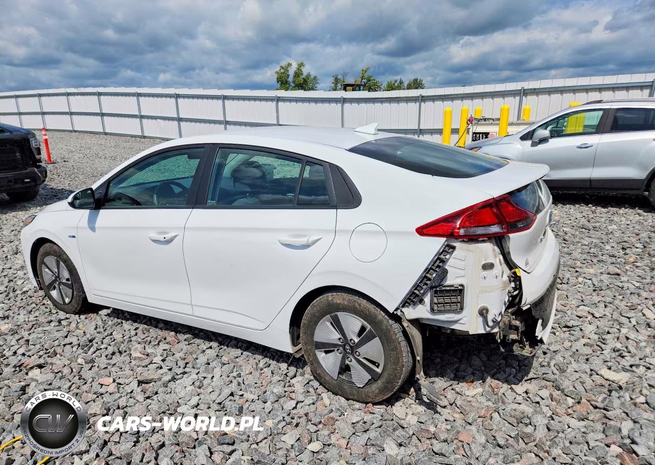 2018 Hyundai Ioniq Blue VIN:KMHC65LC2JU091373 - 2