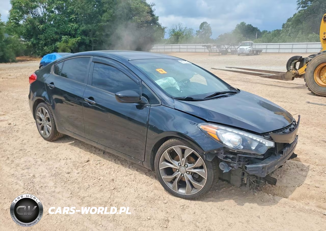 2016 Kia Forte Lx VIN:KNAFK4A69G5570703 - 4