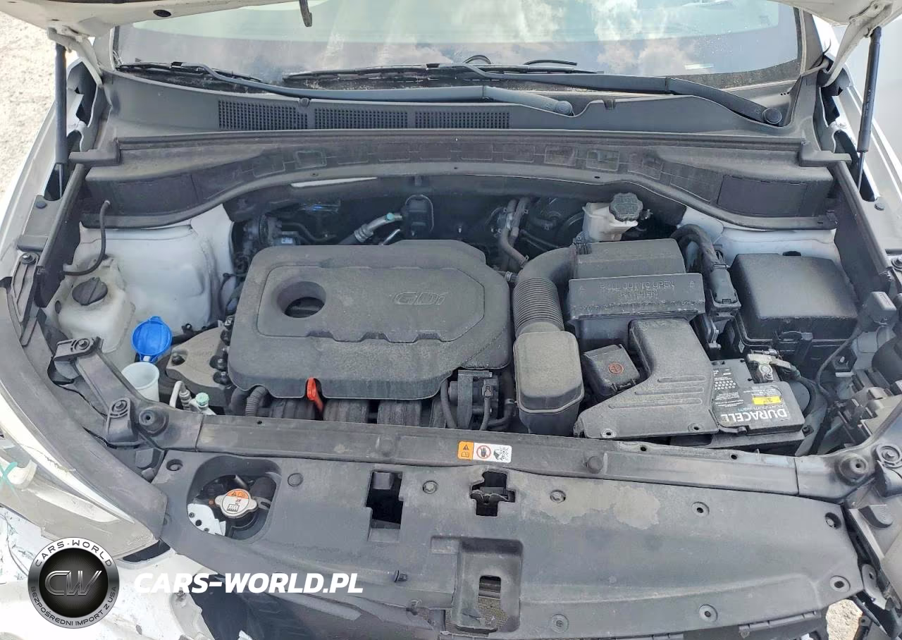 2018 Hyundai Santa Fe Sport 2.4L VIN:5XYZU3LB1JG531312 - 12