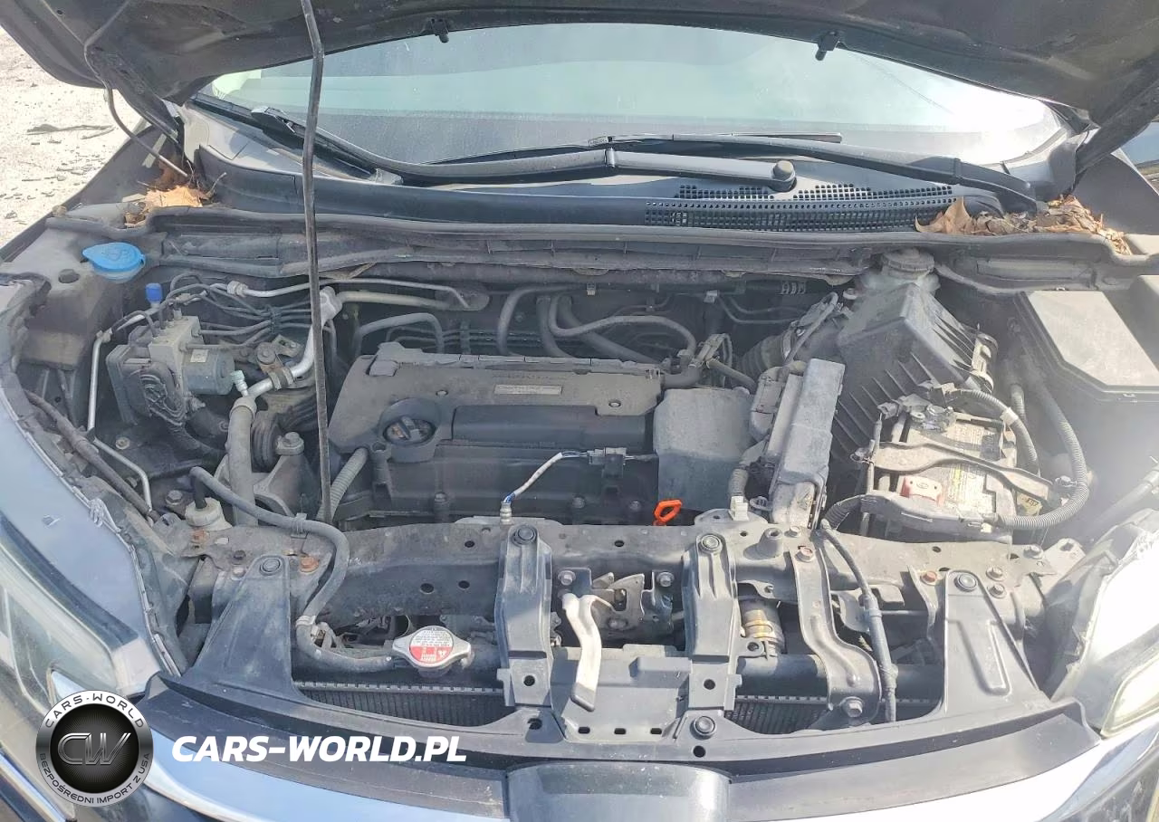 2016 Honda Cr-V Lx VIN:2HKRM4H30GH649067 - 12