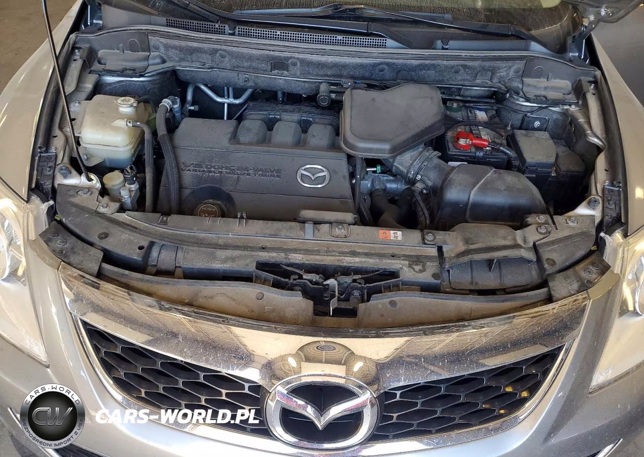 2011 Mazda Cx-9 VIN:JM3TB3DA5B0309114 - 12