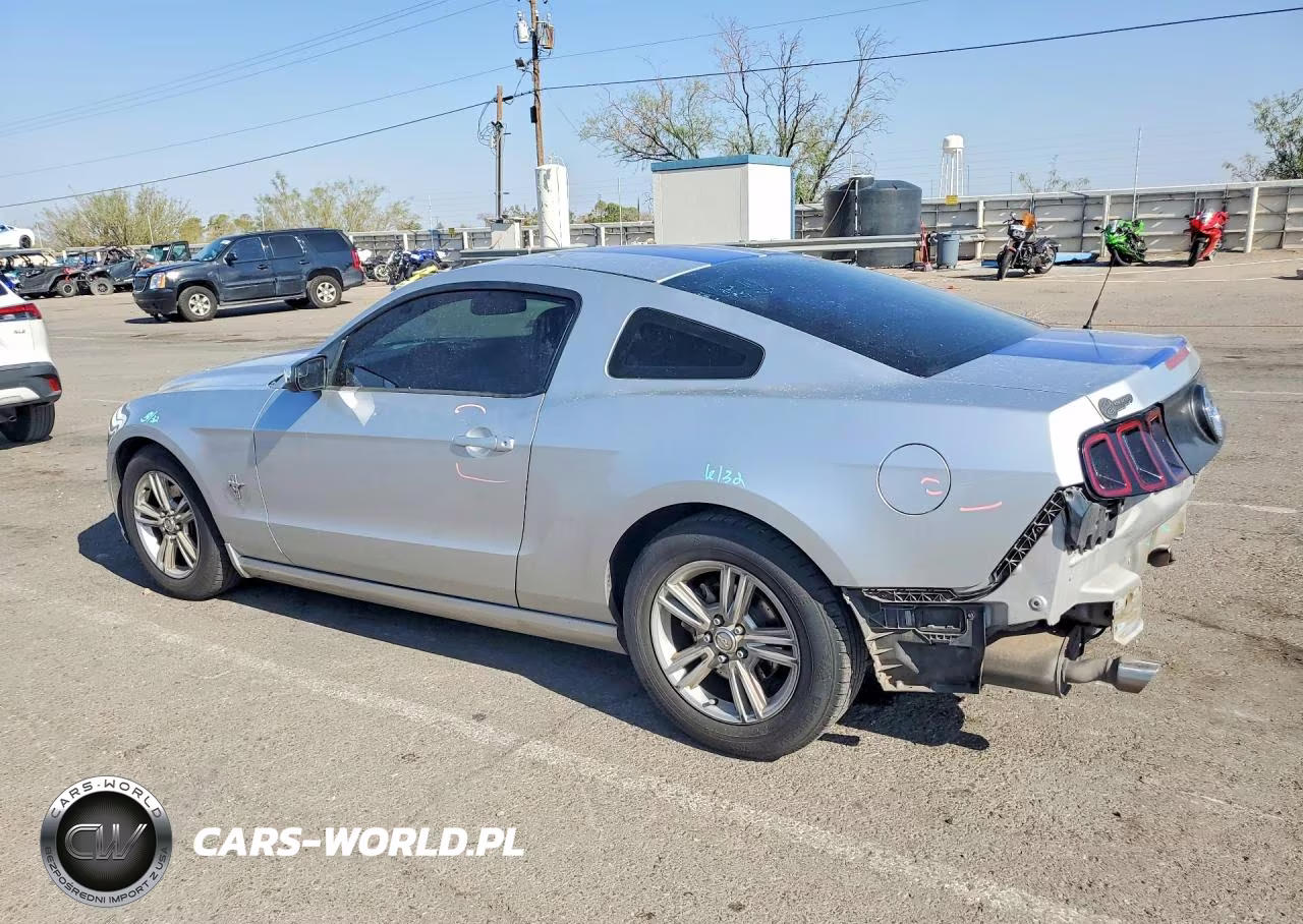 2014 Ford Mustang VIN:1ZVBP8AM9E5204923 - 2