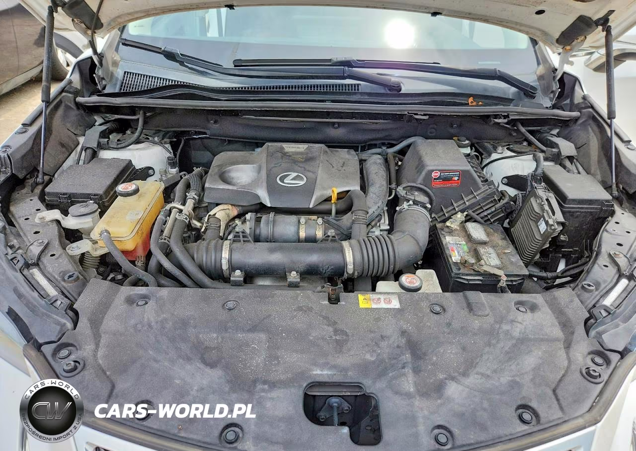 2018 Lexus Nx 300 Base VIN:JTJYARBZ4J2103375 - 11