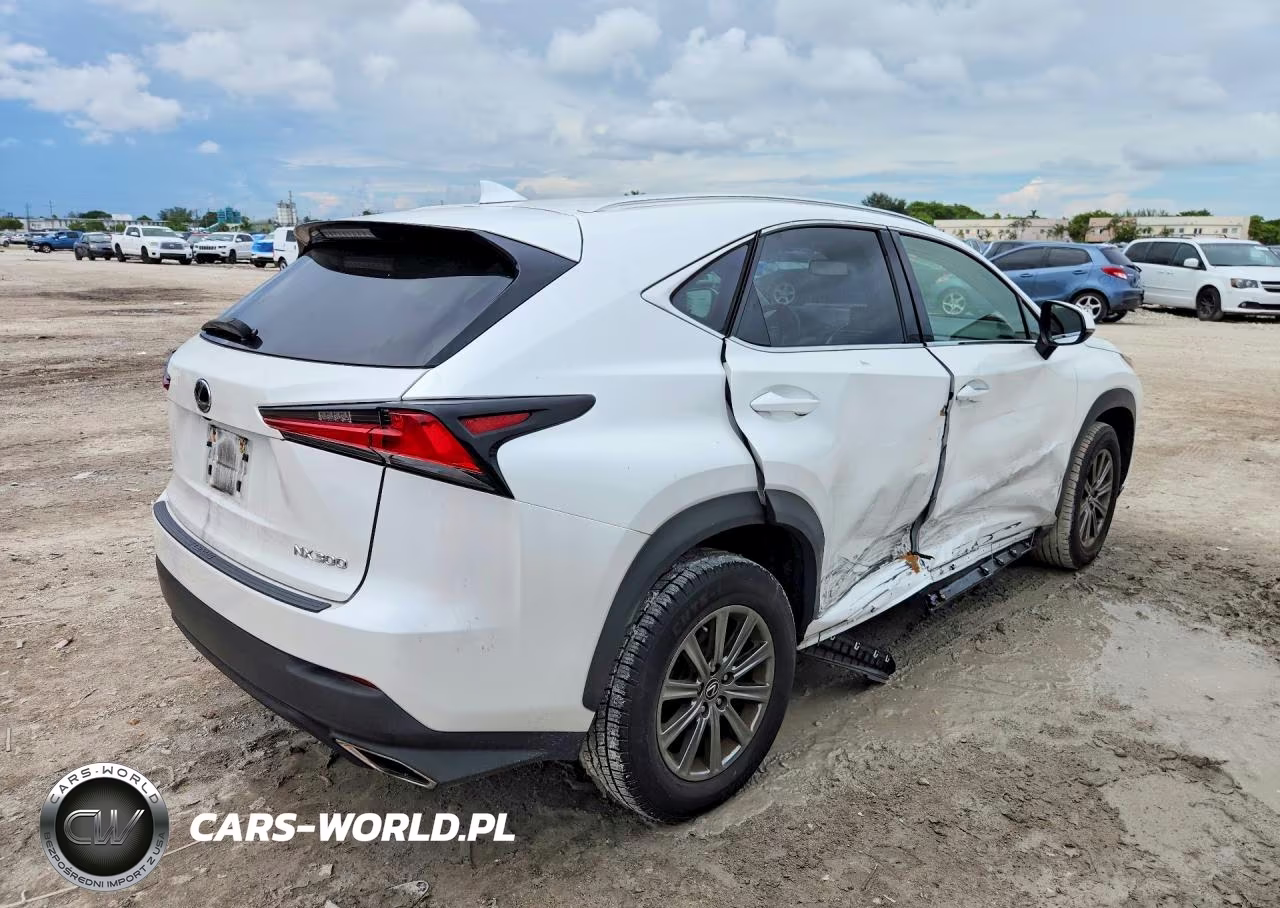2018 Lexus Nx 300 Base VIN:JTJYARBZ4J2103375 - 3