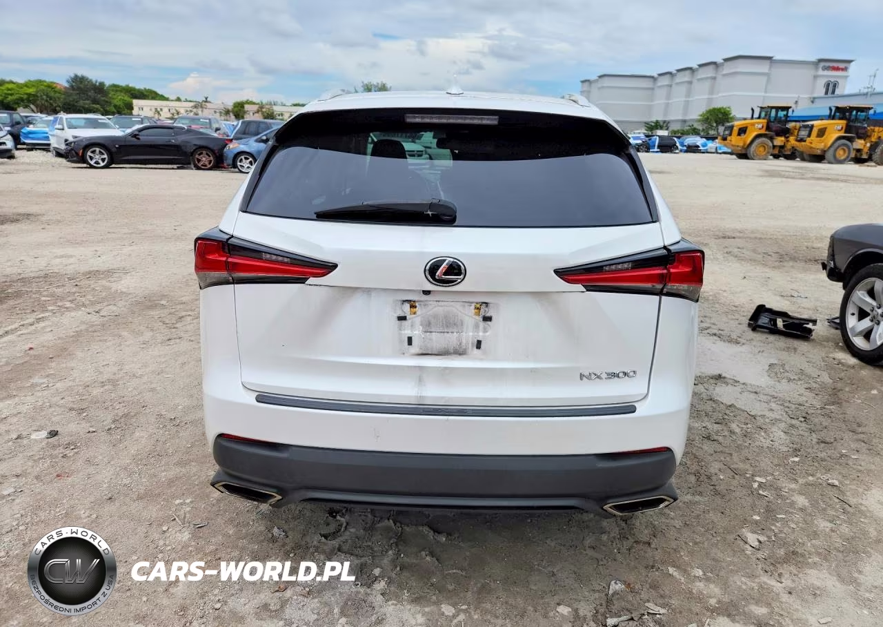 2018 Lexus Nx 300 Base VIN:JTJYARBZ4J2103375 - 6