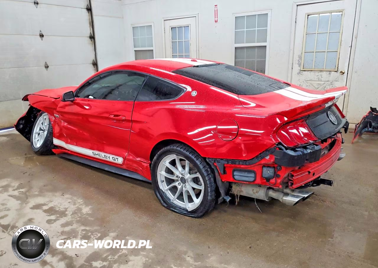 2019 Ford Mustang Gt VIN:1FA6P8CF3K5204470 - 2