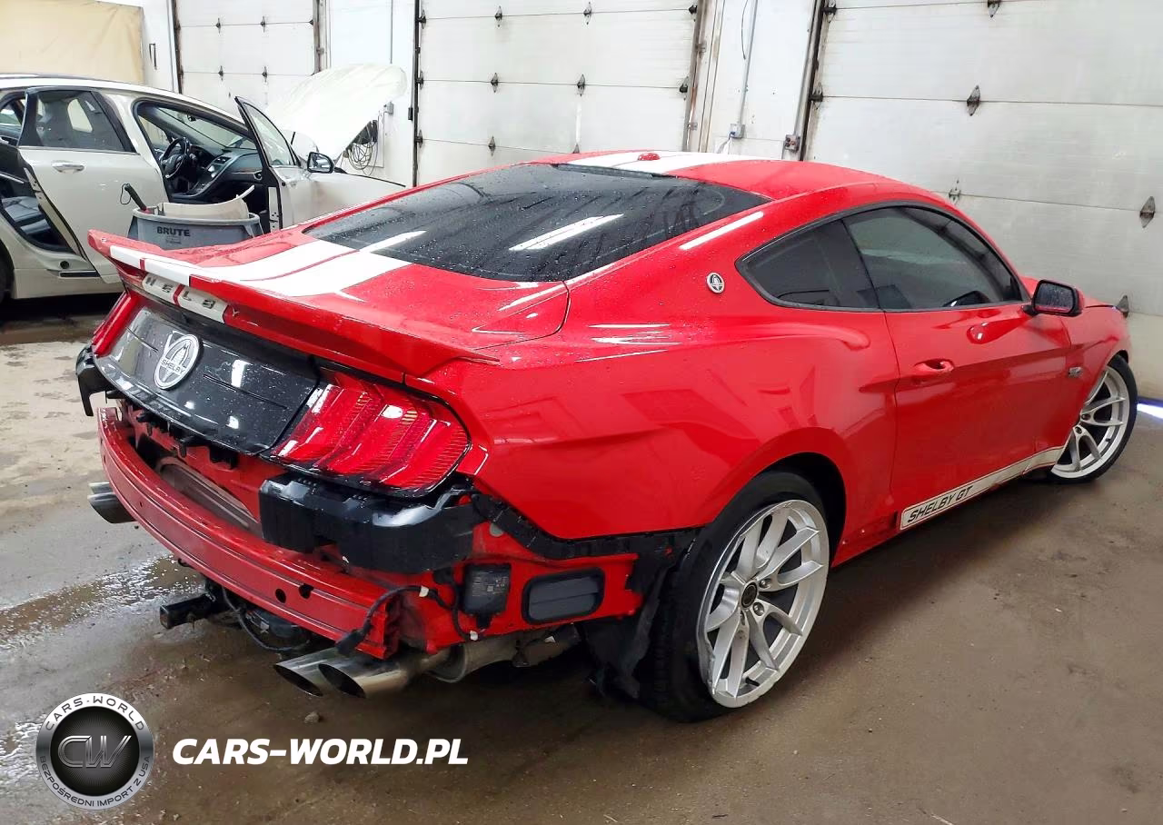 2019 Ford Mustang Gt VIN:1FA6P8CF3K5204470 - 3
