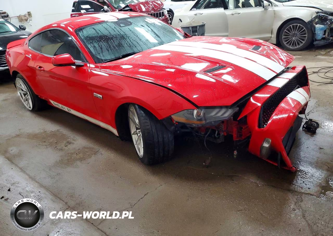 2019 Ford Mustang Gt VIN:1FA6P8CF3K5204470 - 4