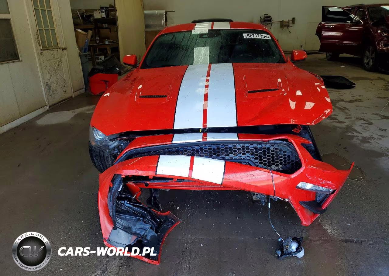 2019 Ford Mustang Gt VIN:1FA6P8CF3K5204470 - 5