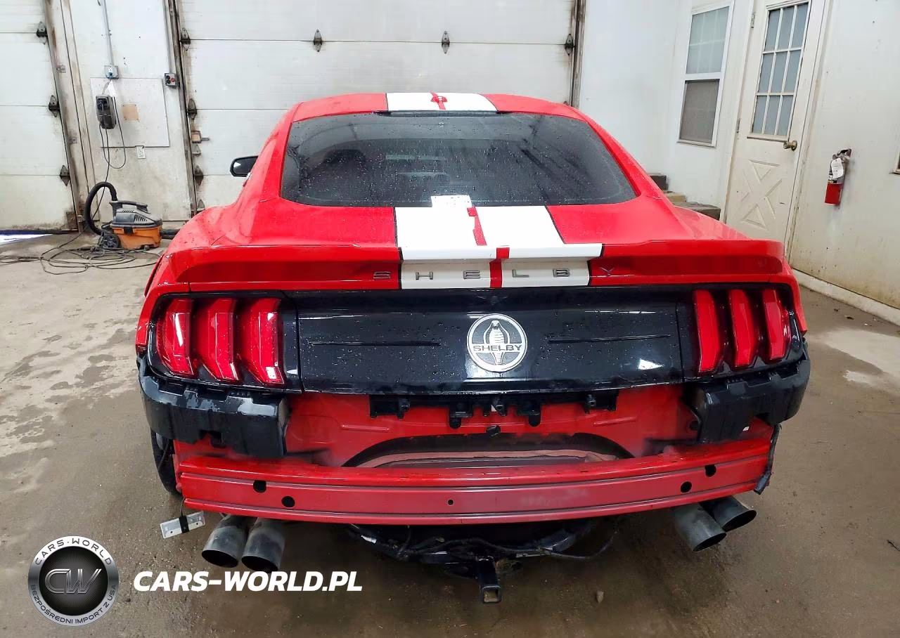 2019 Ford Mustang Gt VIN:1FA6P8CF3K5204470 - 6