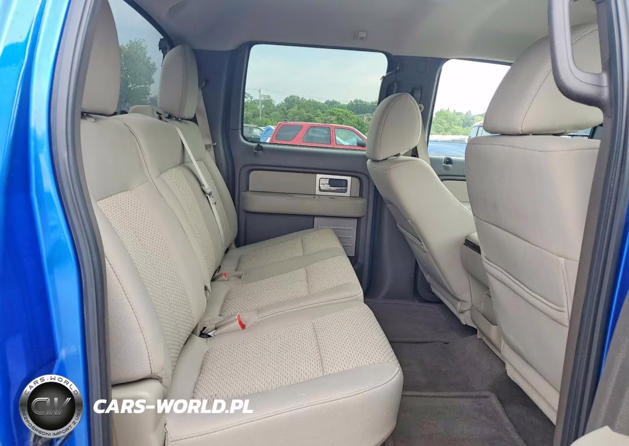 2010 Ford F150 Supercrew VIN:1FTEW1C80AFC62174 - 10