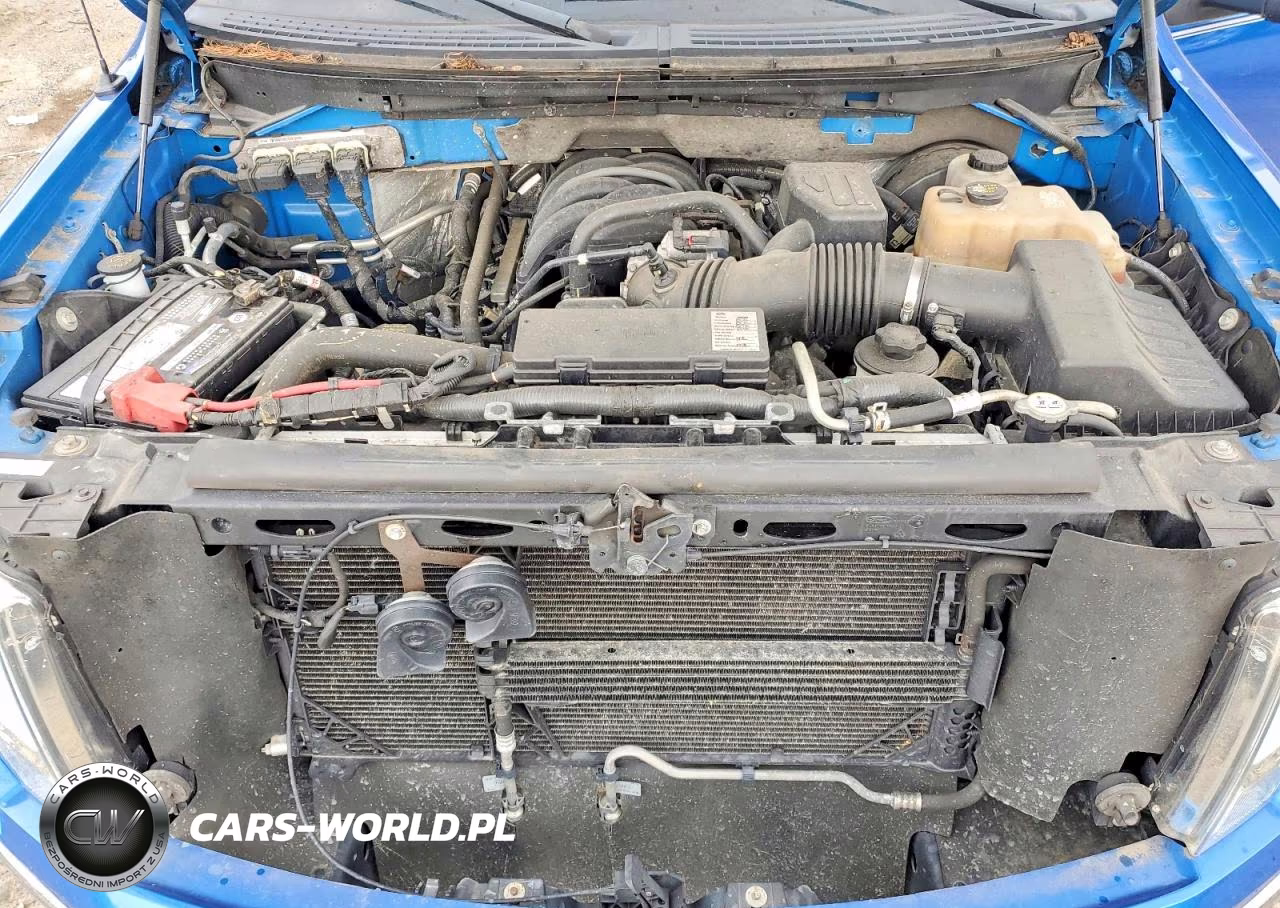 2010 Ford F150 Supercrew VIN:1FTEW1C80AFC62174 - 11