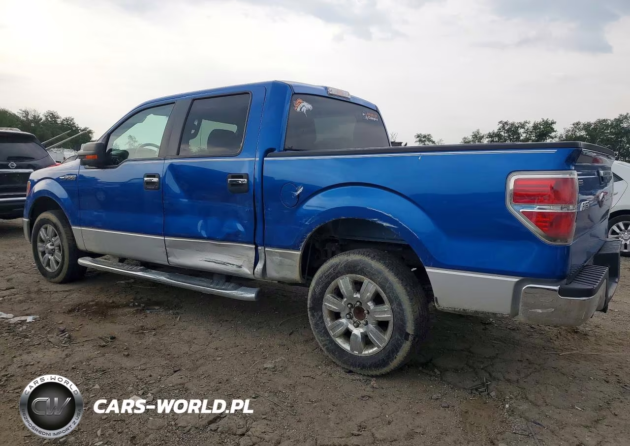 2010 Ford F150 Supercrew VIN:1FTEW1C80AFC62174 - 2