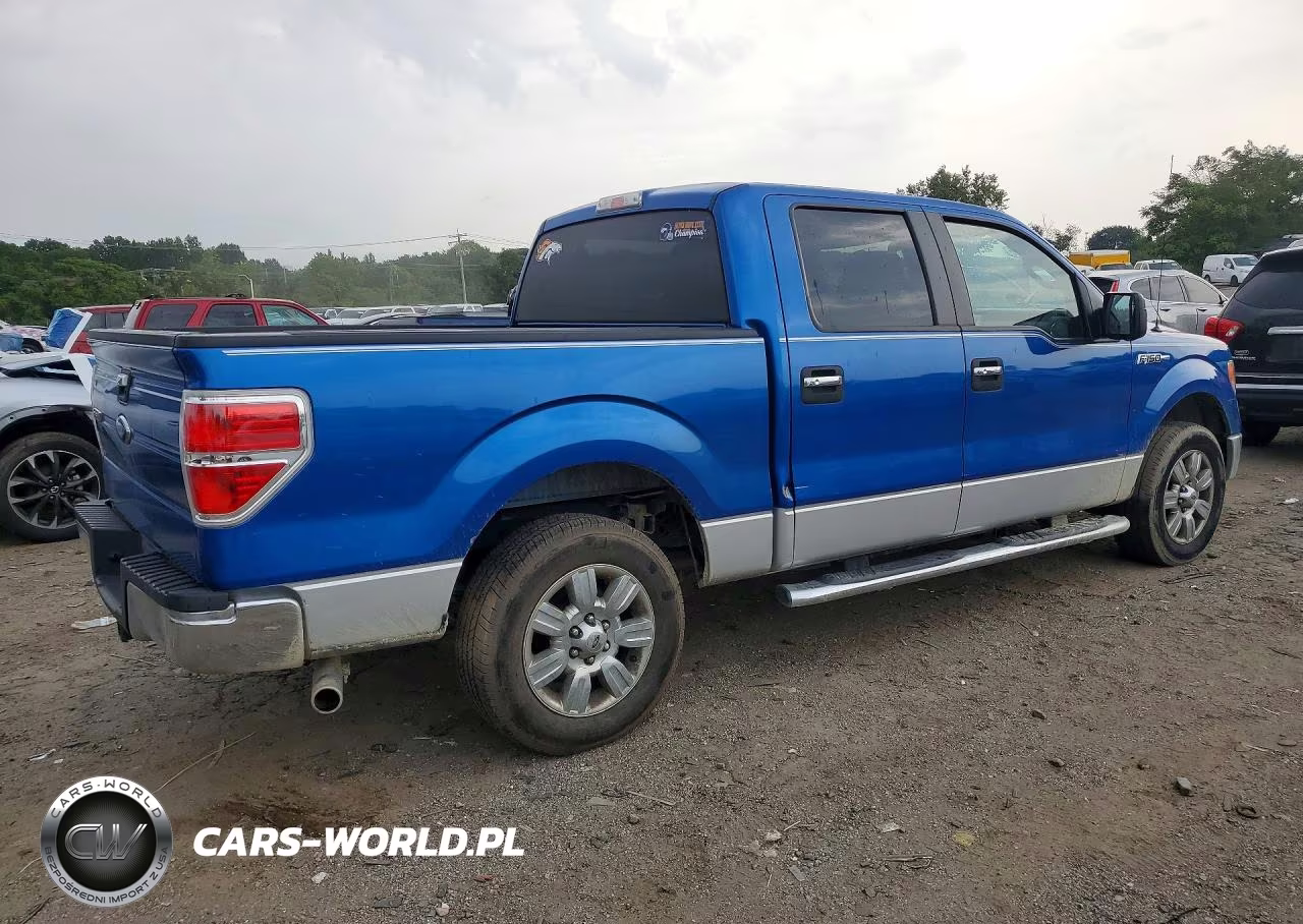 2010 Ford F150 Supercrew VIN:1FTEW1C80AFC62174 - 3