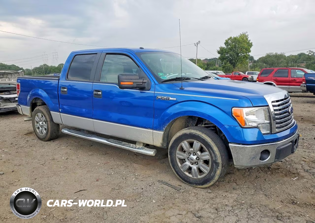 2010 Ford F150 Supercrew VIN:1FTEW1C80AFC62174 - 4