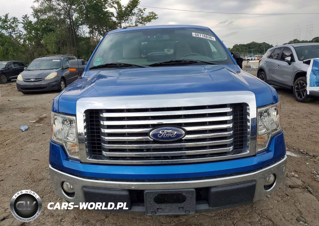 2010 Ford F150 Supercrew VIN:1FTEW1C80AFC62174 - 5