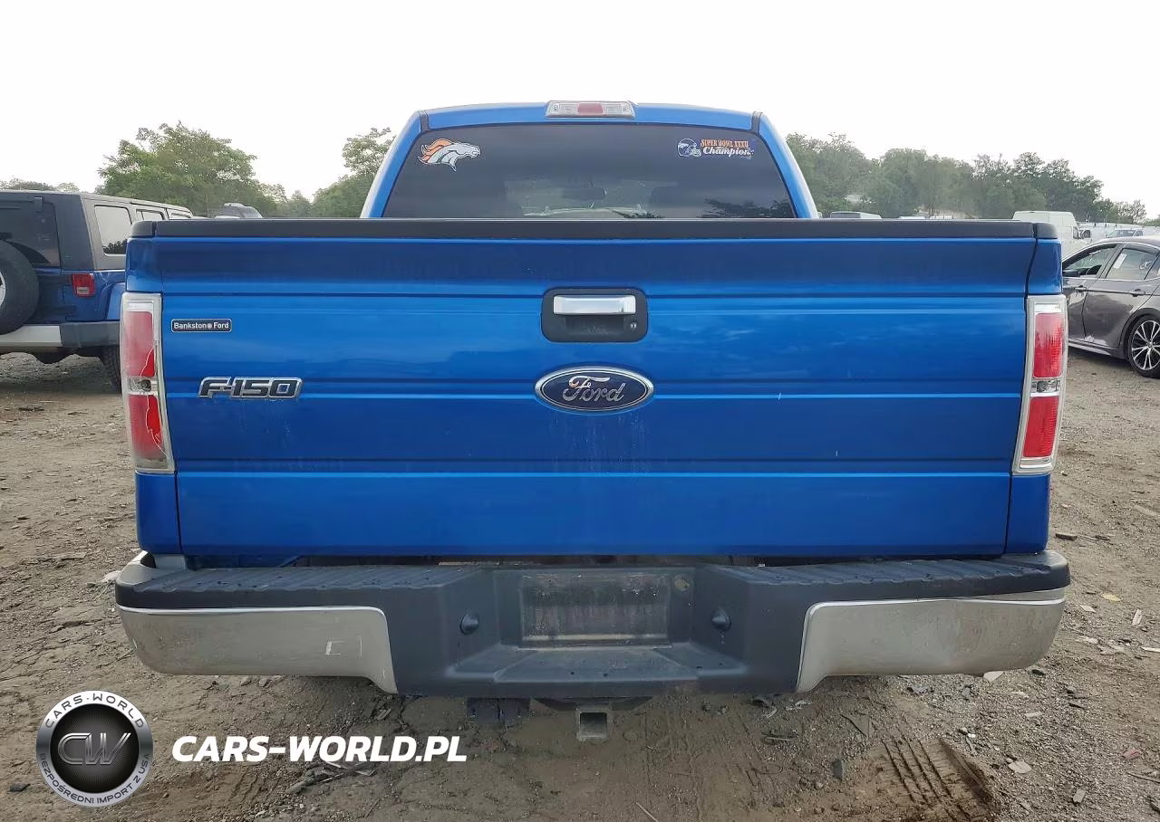 2010 Ford F150 Supercrew VIN:1FTEW1C80AFC62174 - 6