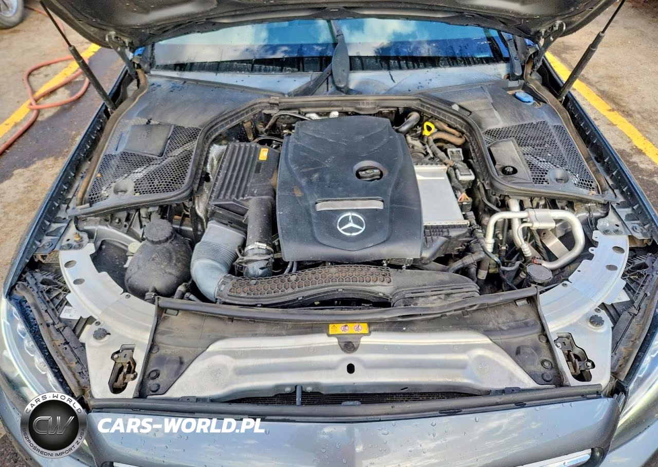 2017 Mercedes-Benz C 300 VIN:55SWF4JB3HU218025 - 11