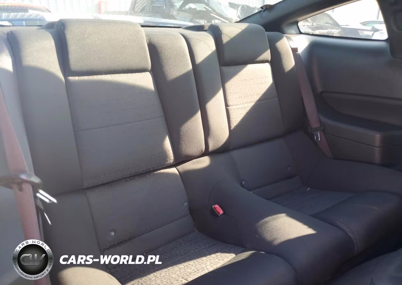 2006 Ford Mustang VIN:1ZVFT80N965106872 - 10