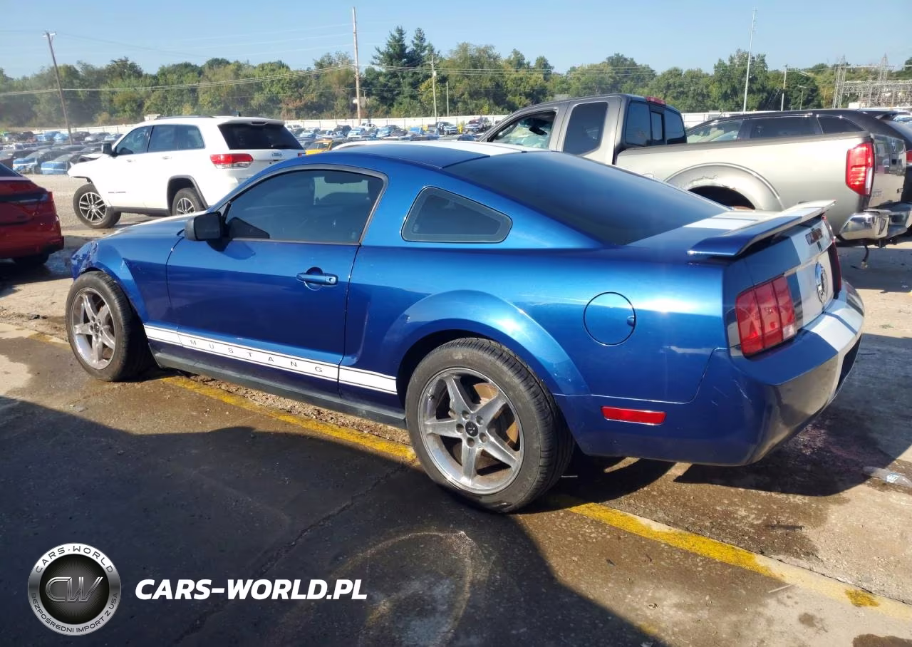 2006 Ford Mustang VIN:1ZVFT80N965106872 - 2