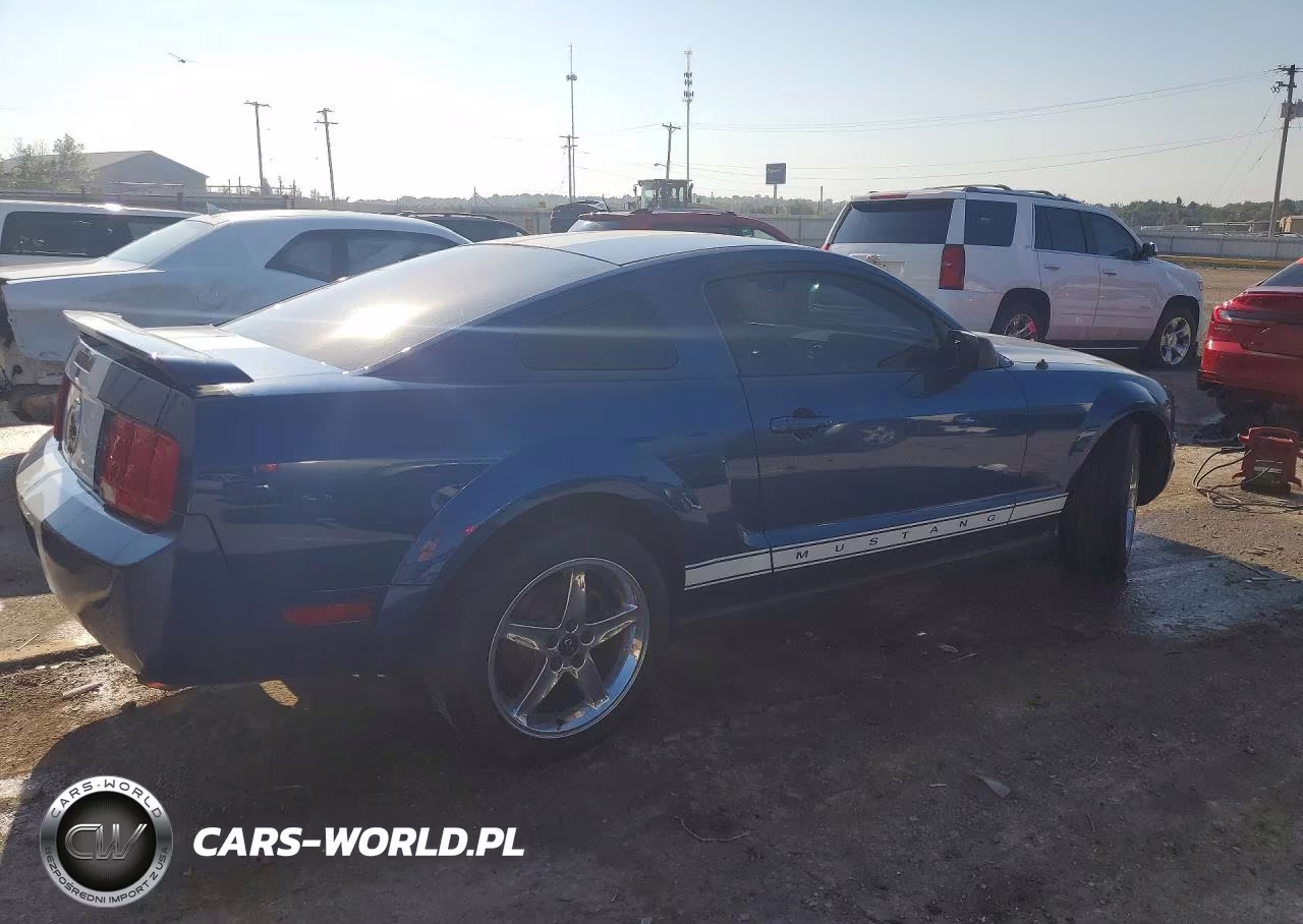 2006 Ford Mustang VIN:1ZVFT80N965106872 - 3