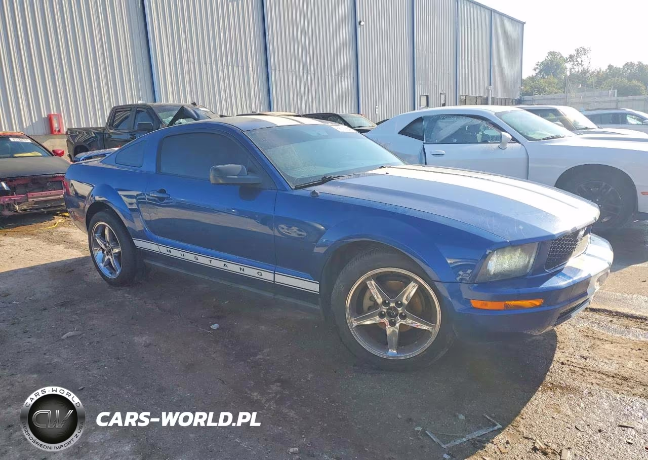 2006 Ford Mustang VIN:1ZVFT80N965106872 - 4
