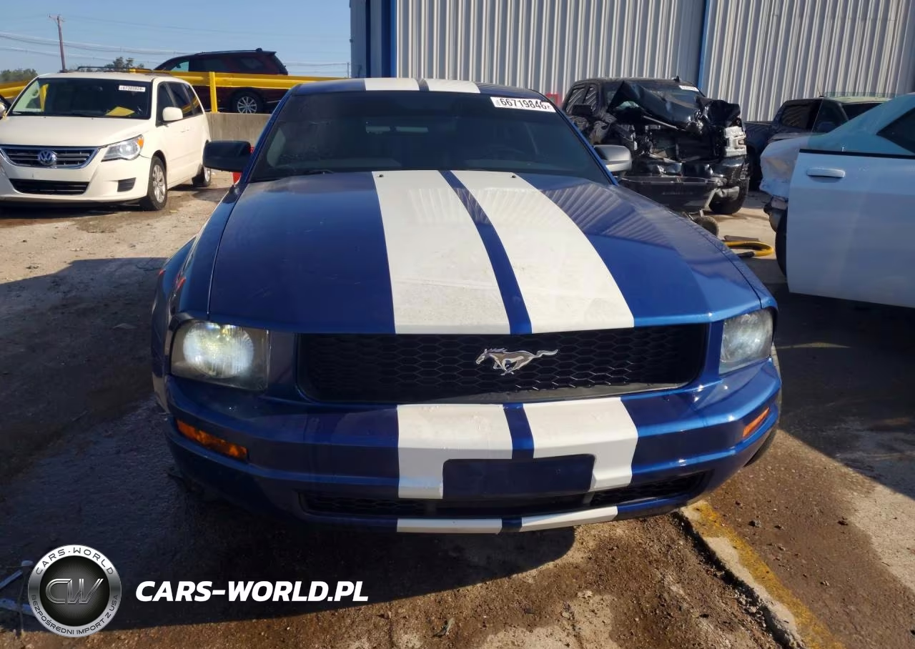 2006 Ford Mustang VIN:1ZVFT80N965106872 - 5