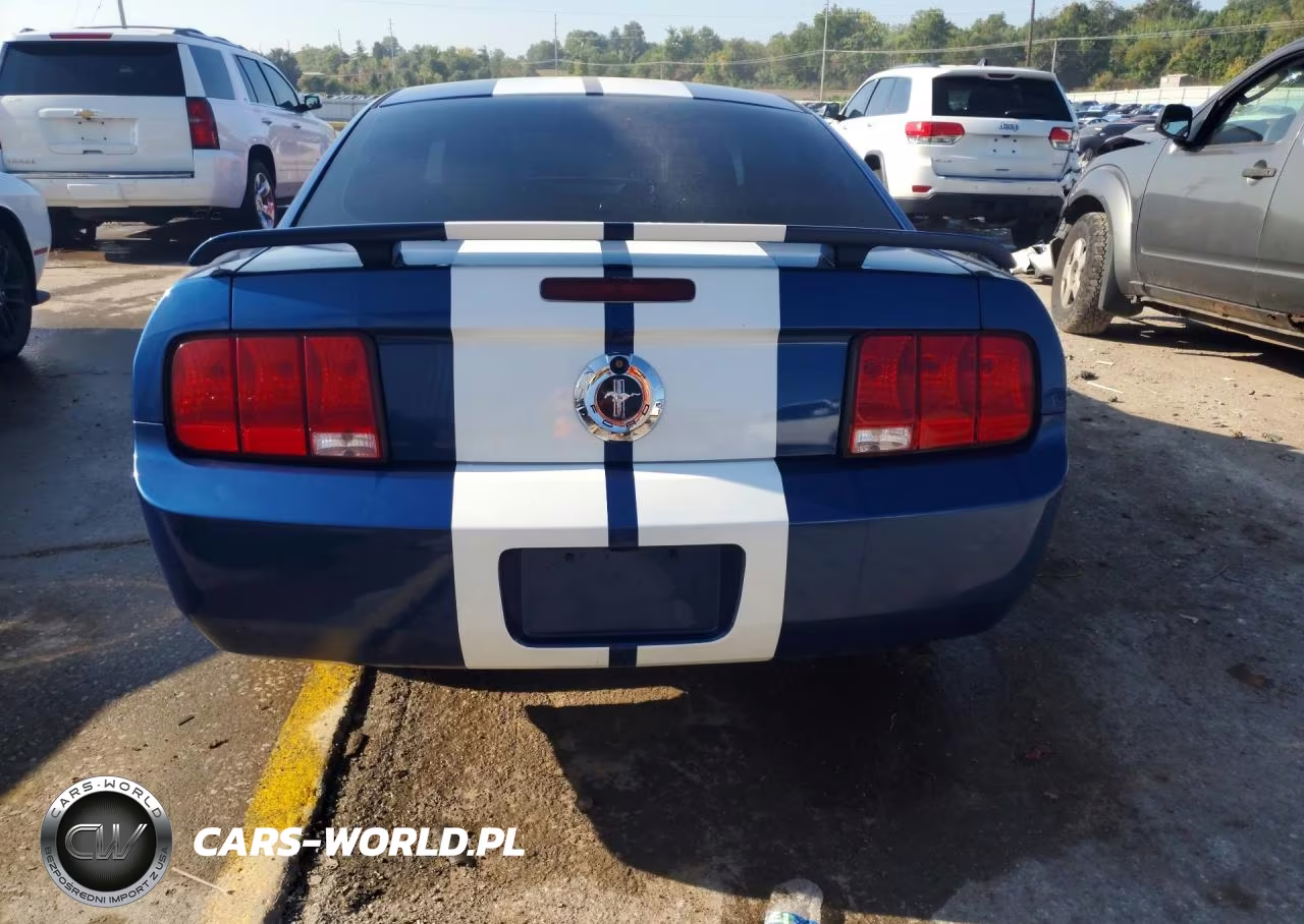 2006 Ford Mustang VIN:1ZVFT80N965106872 - 6