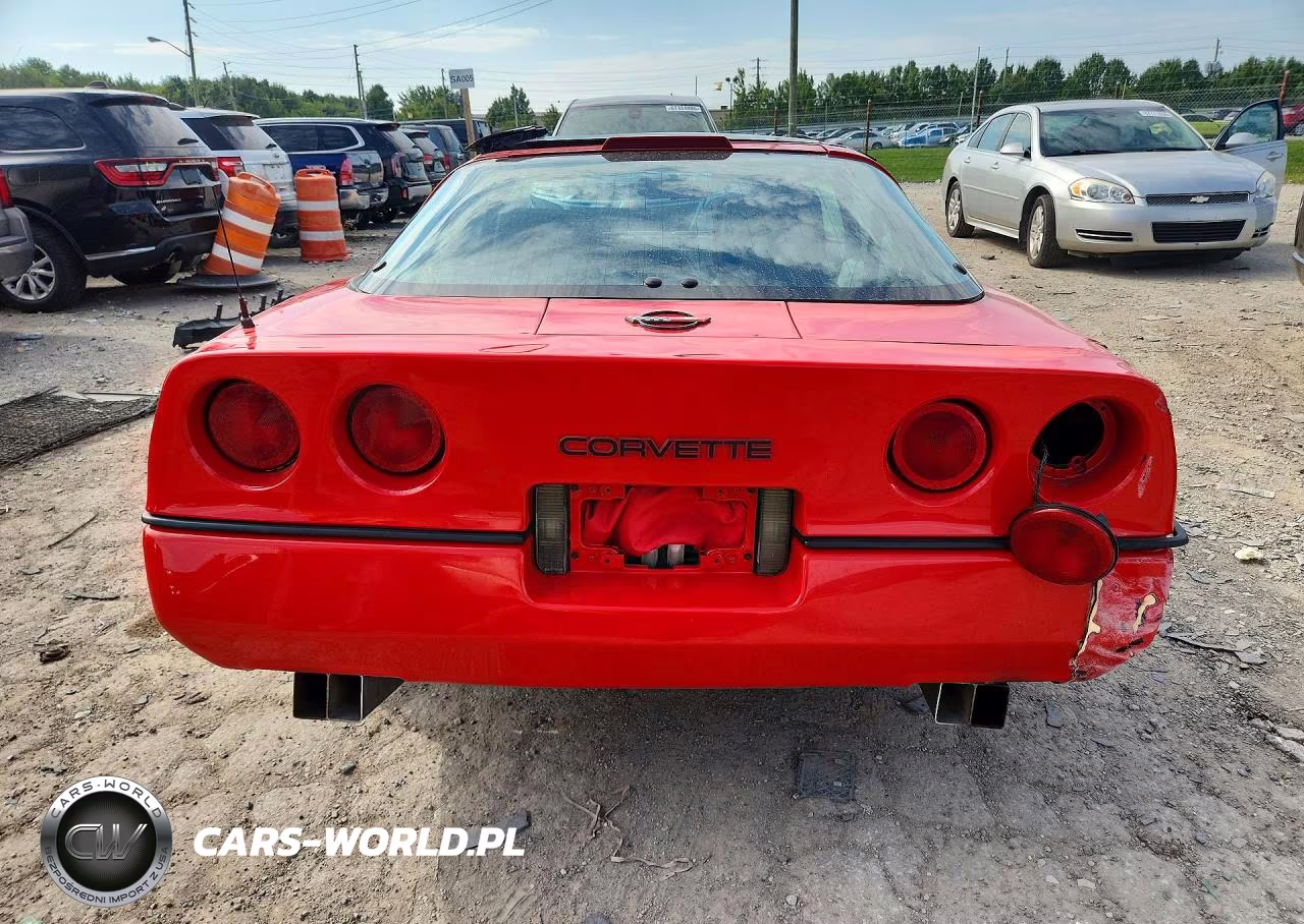 1990 Chevrolet Corvette VIN:1G1YY2387L5101349 - 6
