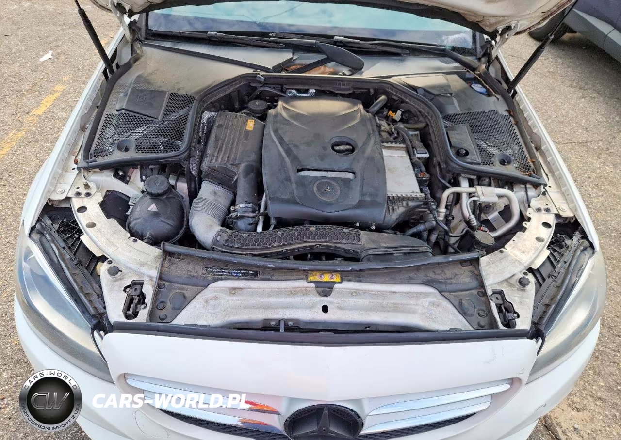 2017 Mercedes-Benz C 300 VIN:55SWF4JB1HU206620 - 11