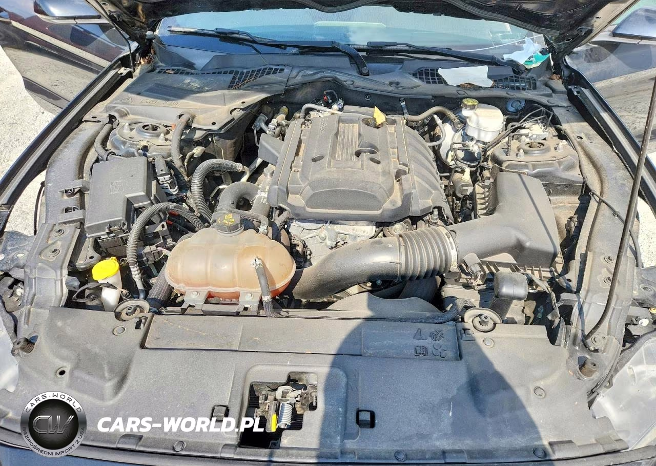 2019 Ford Mustang VIN:1FA6P8TH8K5166641 - 11