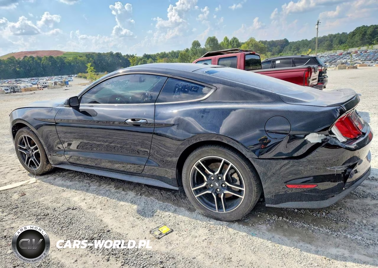 2019 Ford Mustang VIN:1FA6P8TH8K5166641 - 2