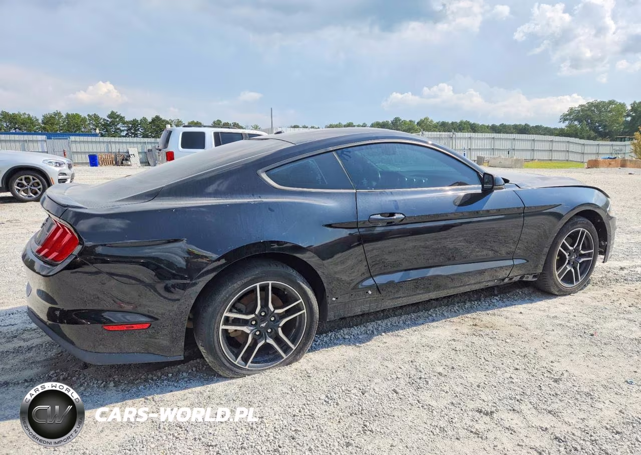 2019 Ford Mustang VIN:1FA6P8TH8K5166641 - 3