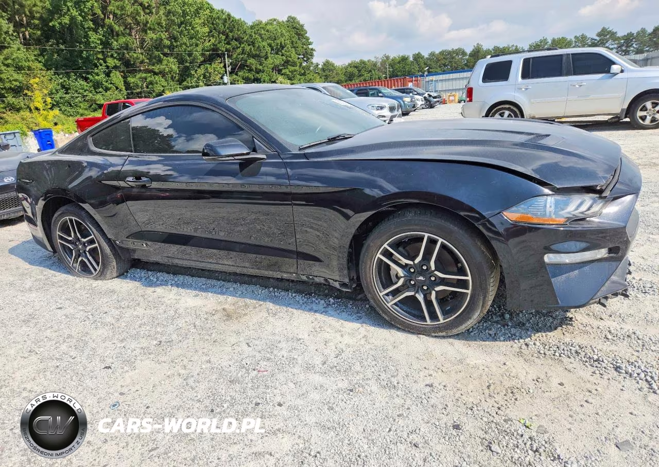 2019 Ford Mustang VIN:1FA6P8TH8K5166641 - 4
