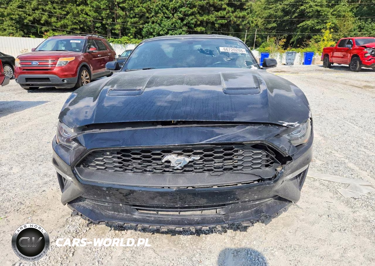 2019 Ford Mustang VIN:1FA6P8TH8K5166641 - 5
