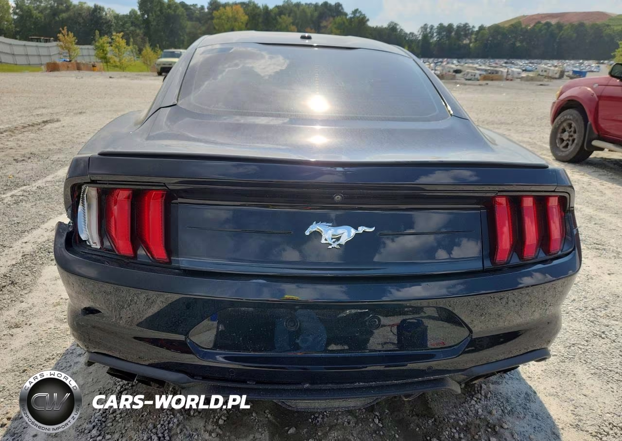 2019 Ford Mustang VIN:1FA6P8TH8K5166641 - 6