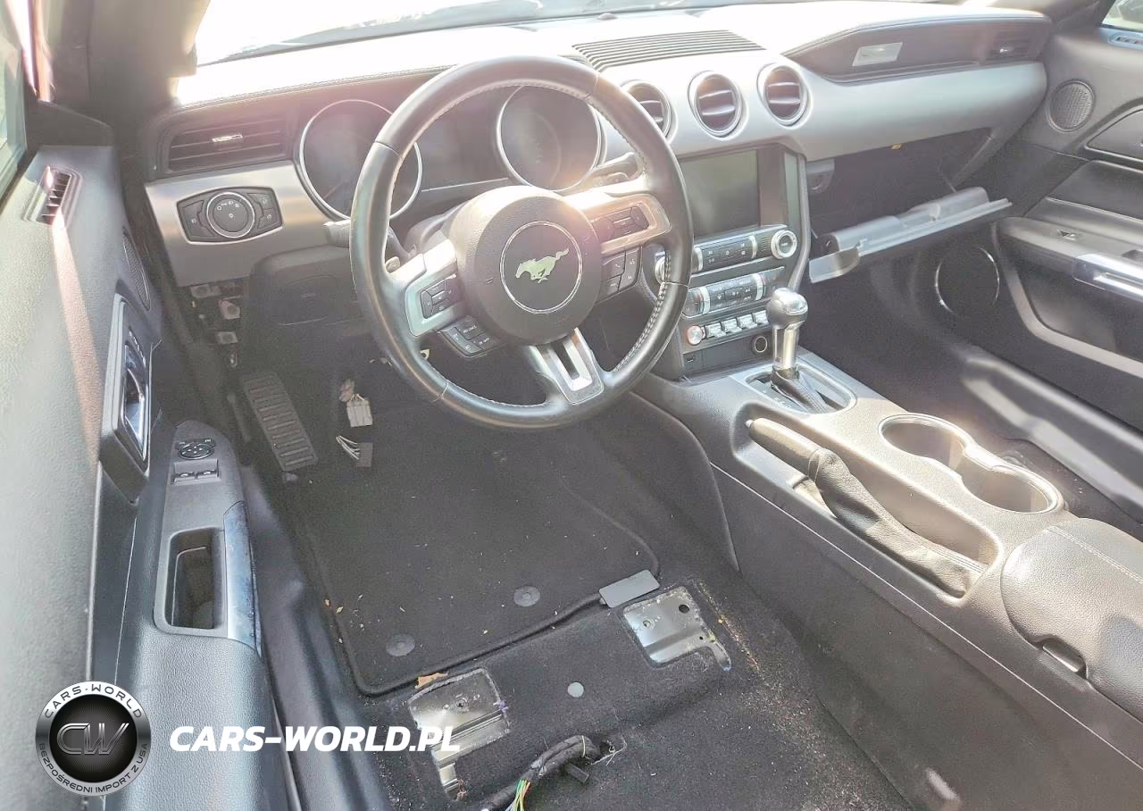 2019 Ford Mustang VIN:1FA6P8TH8K5166641 - 8