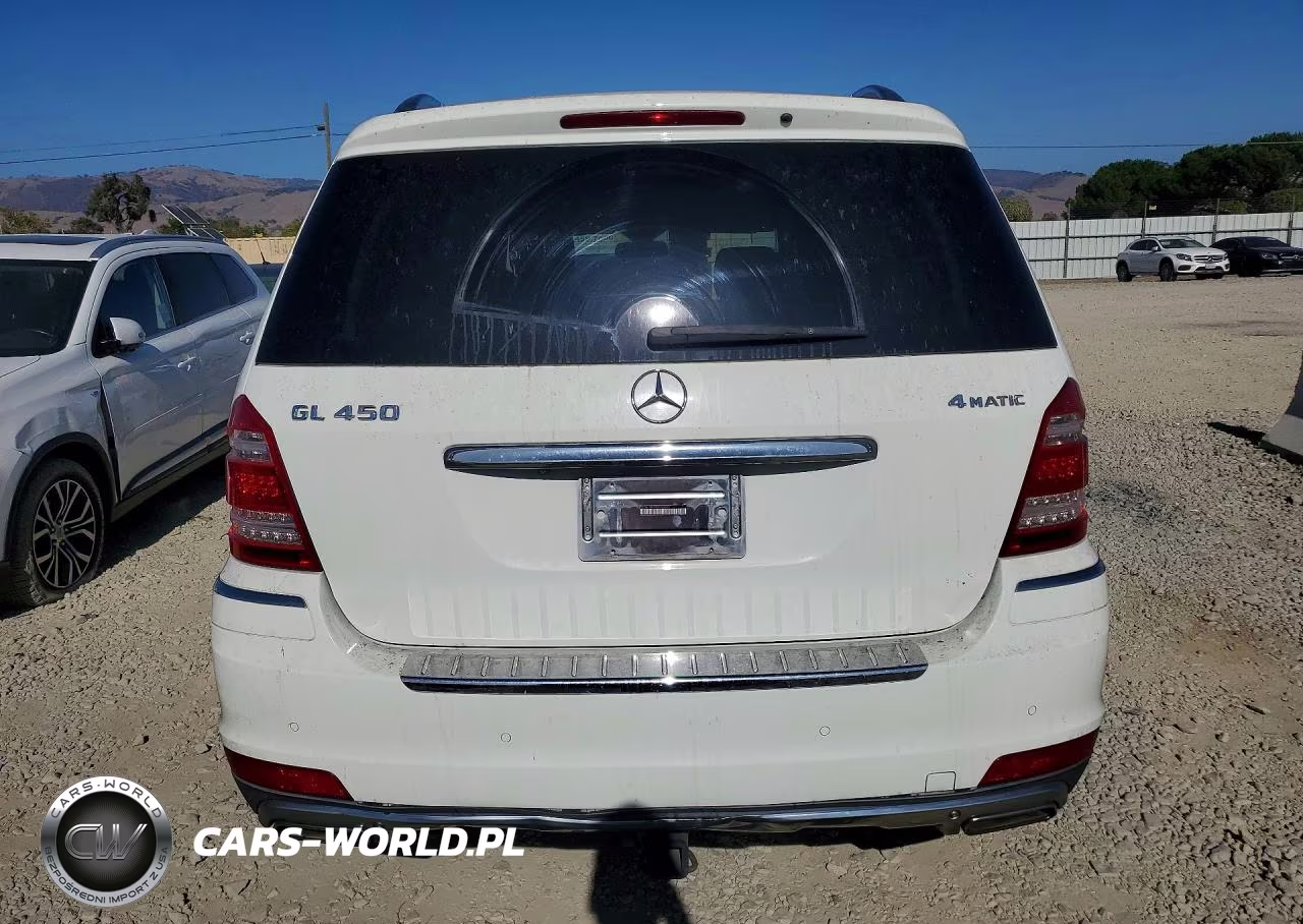 2010 Mercedes-Benz Gl 450 4Matic VIN:4JGBF7BE9AA550054 - 6