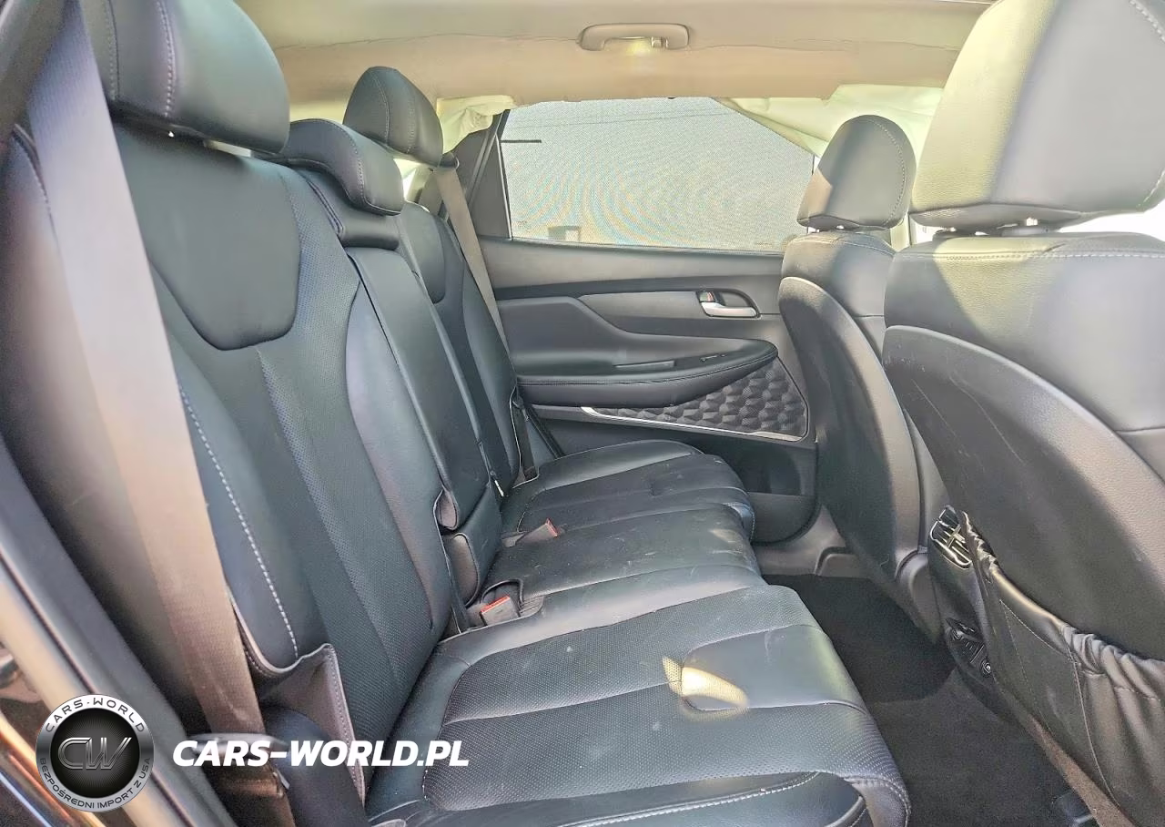 2023 Hyundai Santa Fe Limited VIN:5NMS4DAL8PH629190 - 10