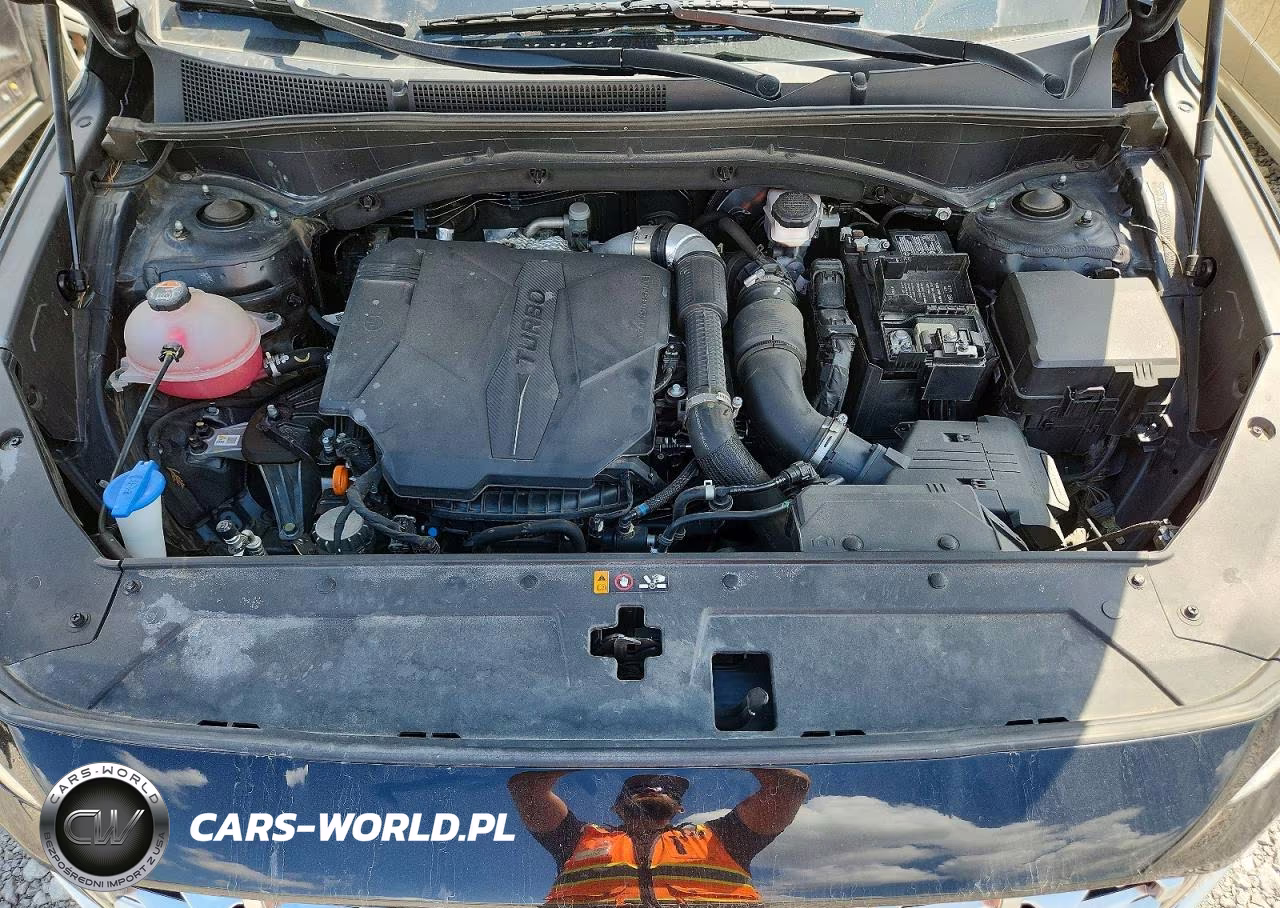 2023 Hyundai Santa Fe Limited VIN:5NMS4DAL8PH629190 - 11