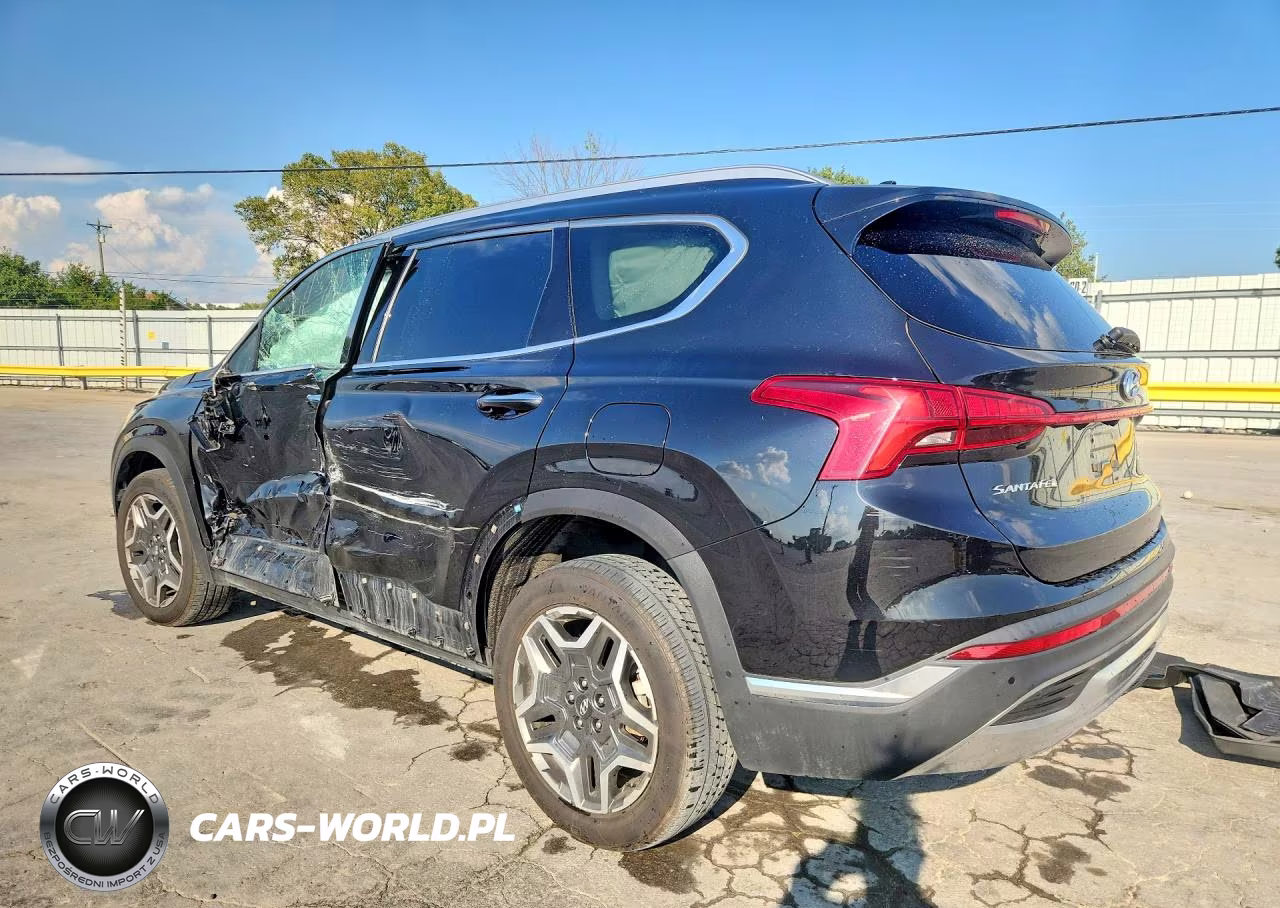 2023 Hyundai Santa Fe Limited VIN:5NMS4DAL8PH629190 - 2