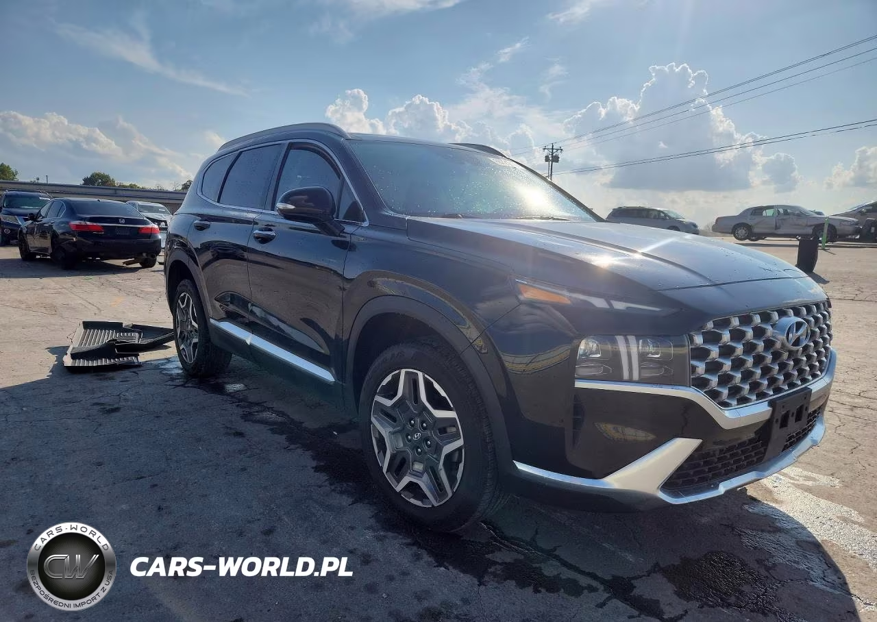 2023 Hyundai Santa Fe Limited VIN:5NMS4DAL8PH629190 - 4