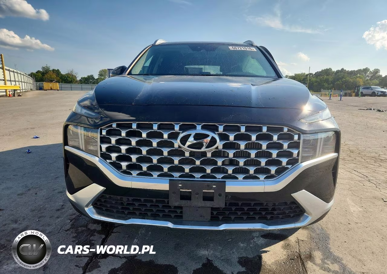 2023 Hyundai Santa Fe Limited VIN:5NMS4DAL8PH629190 - 5